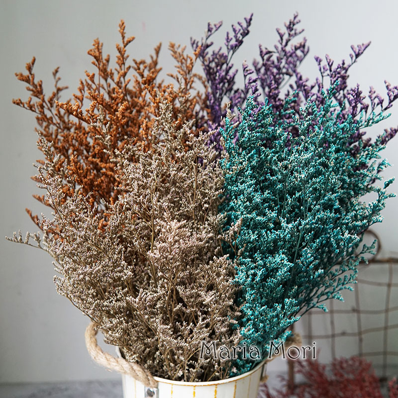 Dried Flower Bulk - 50g/Korunmuş Sevgililer Günü Çimi Limonium Çiçek