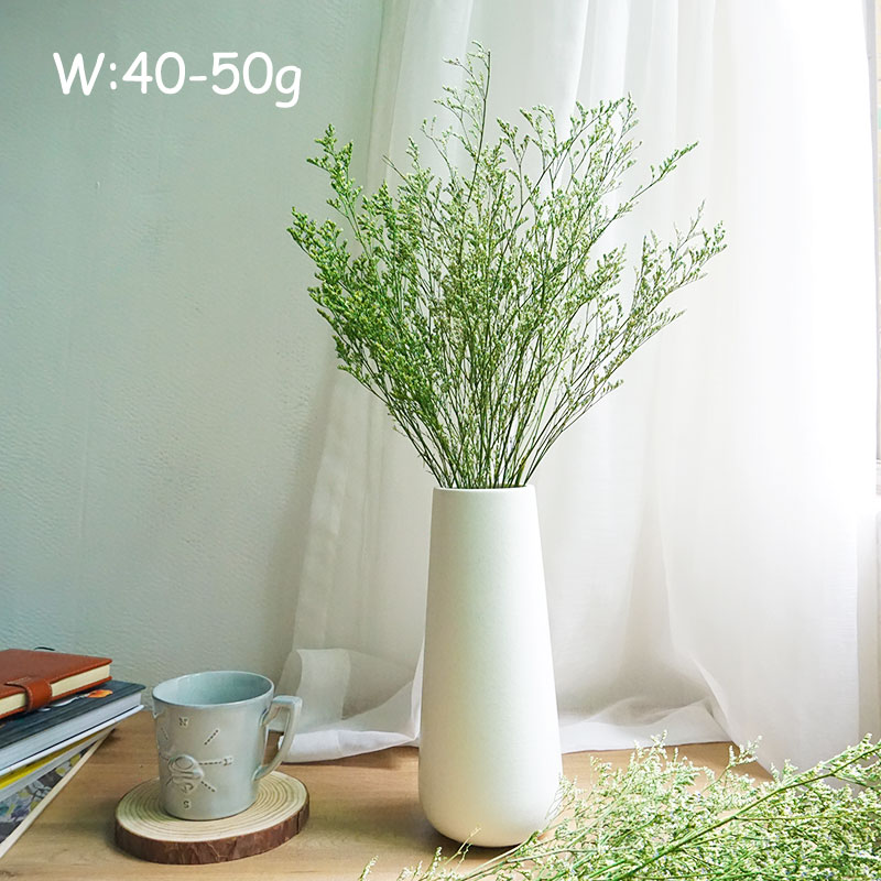 50g/Korunmuş Sevgililer Günü Ç - Dried Flower Bulk incelemesi ve fiyatı