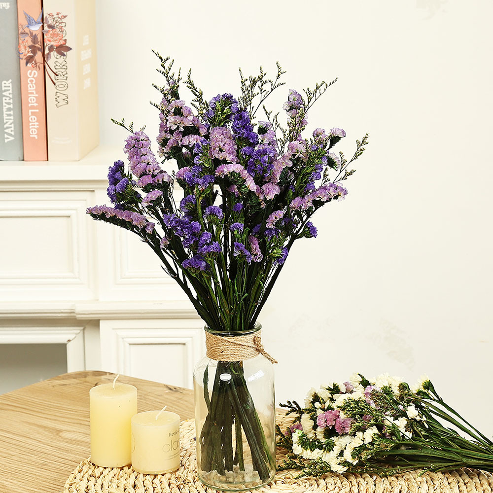 100g Doğal Gerçek Unutma beni  - Dried Flower Bulk incelemesi ve fiyatı